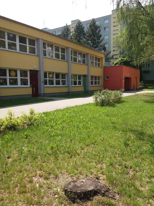 Obrázek z galerie