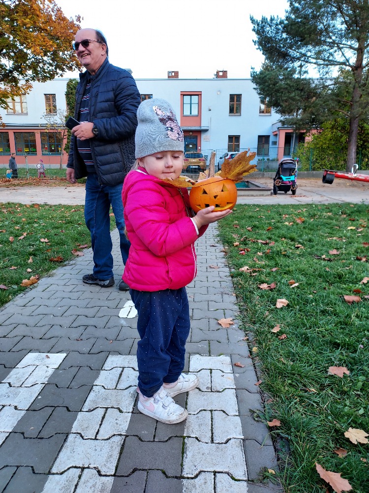 Obrázek z galerie